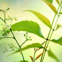 Small manufacture image 6