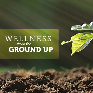 Small manufacture image 8