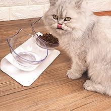 Double Bowl Cat Feeder