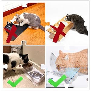 Double Bowl Cat Feeder