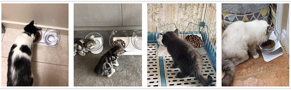 Double Bowl Cat Feeder