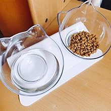 Double Bowl Cat Feeder Raised