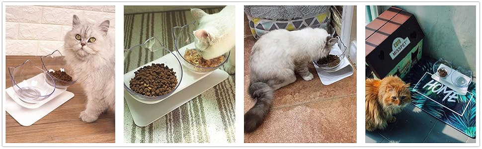 Double Bowl Cat Feeder