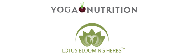 yoga lotus logos