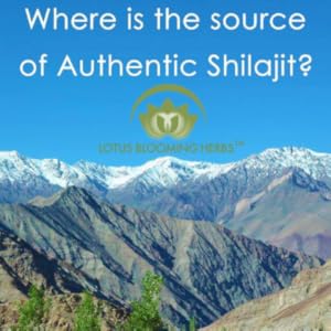 lotus blooming herbs authentic himalayan shilajit mumiyo yoga nutrition mountain blood