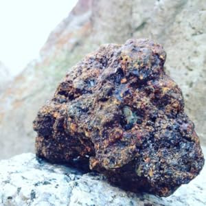 lotus blooming herbs authentic himalayan shilajit mumiyo yoga nutrition mountain blood