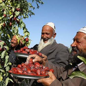 Small manufacture image 3