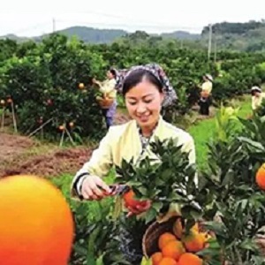 Small manufacture image 6