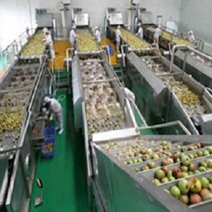 Small manufacture image 8