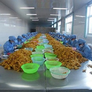 Small manufacture image 9