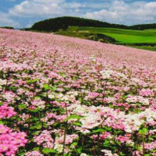 Small manufacture image 5