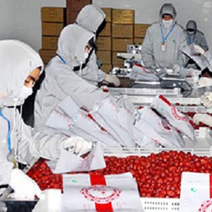 Small manufacture image 10