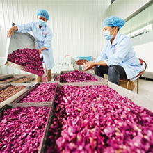 Small manufacture image 7