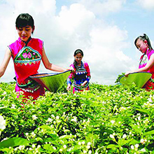 Small manufacture image 6