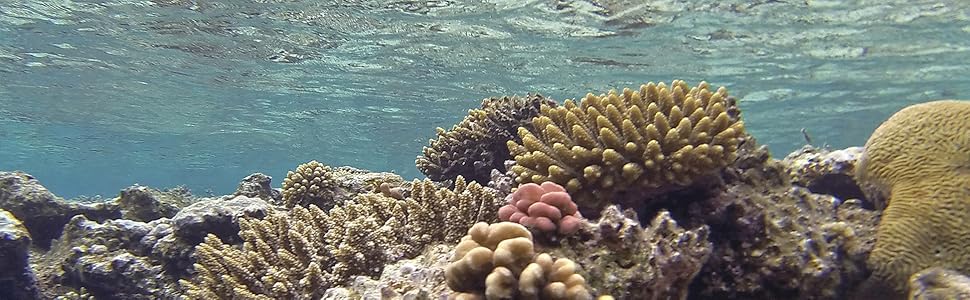 Small manufacture image 7