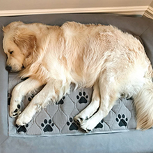 Small manufacture image 8