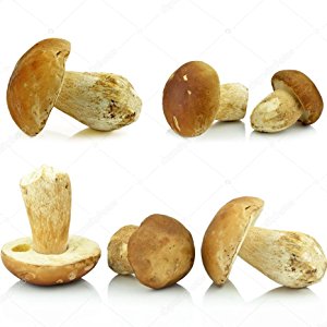 Small manufacture image 5