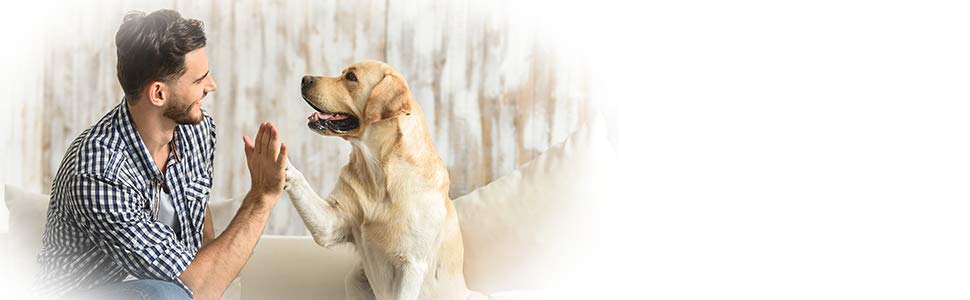 Small manufacture image 7