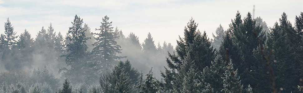 Small manufacture image 13