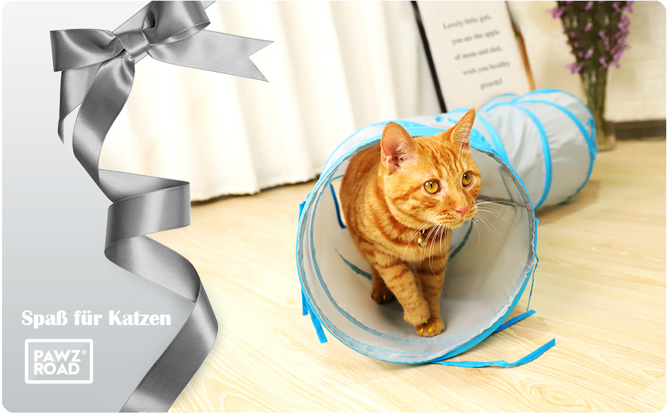 PAWZ Road Katzentunnel Kätzchen Spielzeug Pet Play Tube S Tunnel