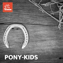 paardenverzorging voor de pony