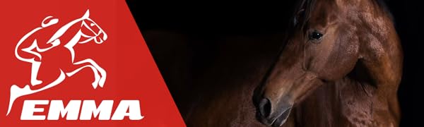 Paardenvoer aanvullend voer voer paarden