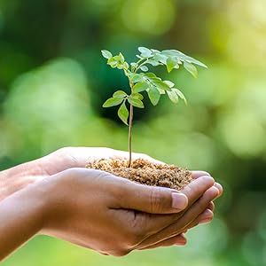 Nachhaltigkeit vegan Protein veganes Proteinpulver Eiweißpulver vegan 