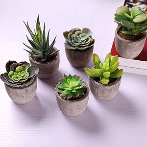 Amazon.de: T4U 6er Set Mini Künstliche Sukkulenten