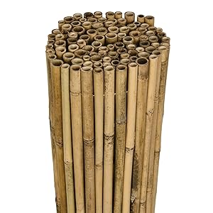 Sol Royal Sichtschutz Bambus Zaun Massiv 90x250cm (HxB) SolVision B38