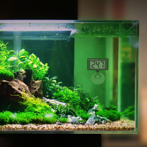 TM10 Aquarienthermometer