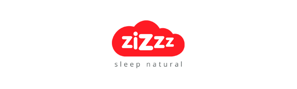 Zizzz Logo