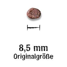 Krokettengroßes erwachsenes GF-Geflügel