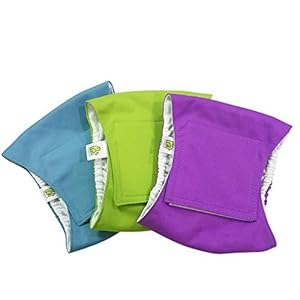 Waschen Schwanz Unterlage Einweg anziehen Unfälle pinkeln Hüfte absorbierend Welpe Urin Bauchbänder