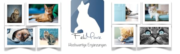 FeliMove Ergänzungsfuttermittel Katze Kater Katze Nahrungsergänzung Supplement Hilfe Tierarzt