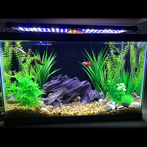 NICREW ClassicLED Luz LED Acuario, Lámpara de Acuario ...