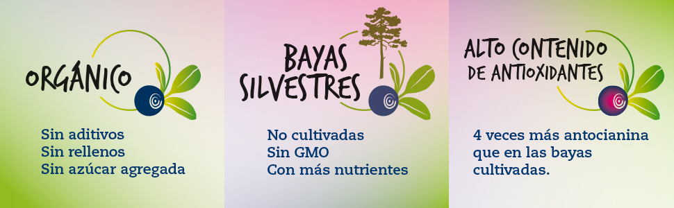 Arándano Azul Silvestre Orgánico en Polvo (Wild Blueberries), 100 ...