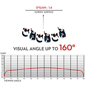 Proyector Pantallas, NIERBO Pantallas para Proyectores 150 ...