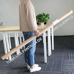 Pantalla Proyector Enrollable, NIERBO Pantalla de Proyección 100 ...