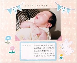 Amazon | わが子へ贈るフォトブック ピンク PB-AL01-PK