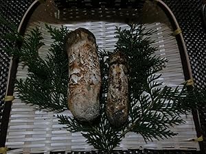 Amazon.co.jp: 松茸 国産松茸 蕾・軸太 大型極上品 200g 会津産