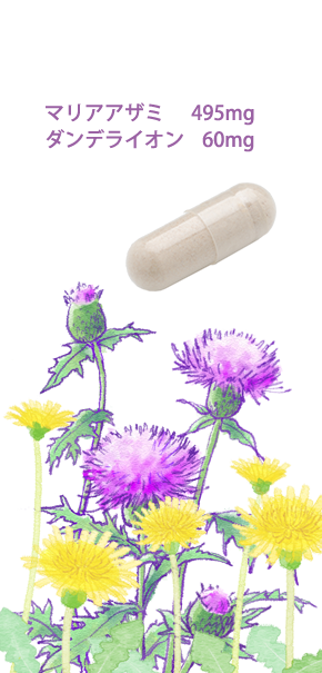 Amazon Noi マリアアザミ ミルクシスル ダンデライオン 3袋セット Noi ミルクシスル