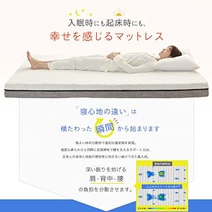 篠原化学 SD エコラテエリート 14cm　一枚ものマットレス エコラテ エリート 14cm一枚ものマットレス｜株式会社篠原化学