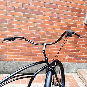 Amazon | 自転車 通販 RAINBOW PCH101 26