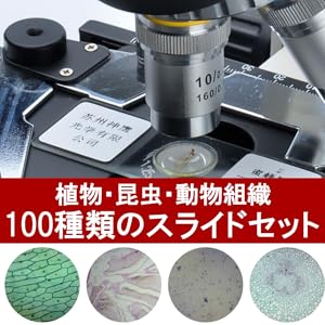 BcJ5RZxuQyiU._UX300_TTW__.png