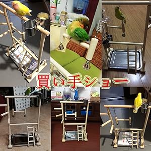 Amazon | Youjiu インコ 遊び場 二層 バード アスレチック 玩具