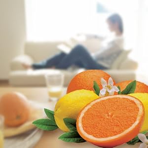 専用出品　エアアロマ　　シトラスシーズンのみ 専用出品 エアアロマ シトラスシーズンのみ 専用出品 エアアロマ