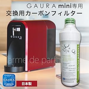 Amazon | GAURAmini(ガウラミニ) (カーボンフィルター) | バイク