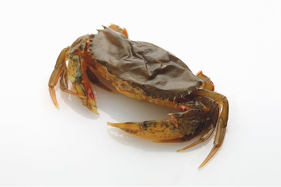 Amazon | [ ソフトシェル クラブ ホテル 18匹/Pc ] 殻ごと 食べられる 渡り蟹 | Ras | カニ 通販