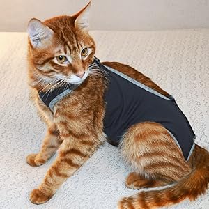 【ピンクの猫】スーツ3点おまとめ O9fOVzpnTcms._UX300_TTW__.jpg