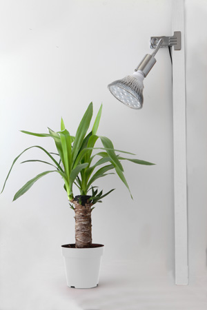 Amazon.co.jp: 【植物育成LED OPT-18W×E26 PLANT CLIP-A セット